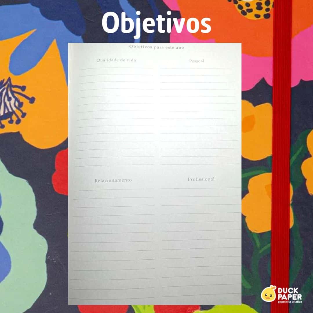 Objetivos do ano do planner da cícero
